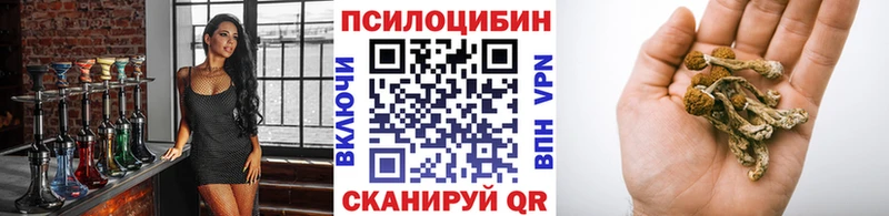 купить   Усть-Катав  Галлюциногенные грибы Psilocybe 
